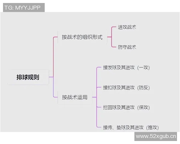 排球新手必看：全面掌握基础技术与实用技巧的入门指南