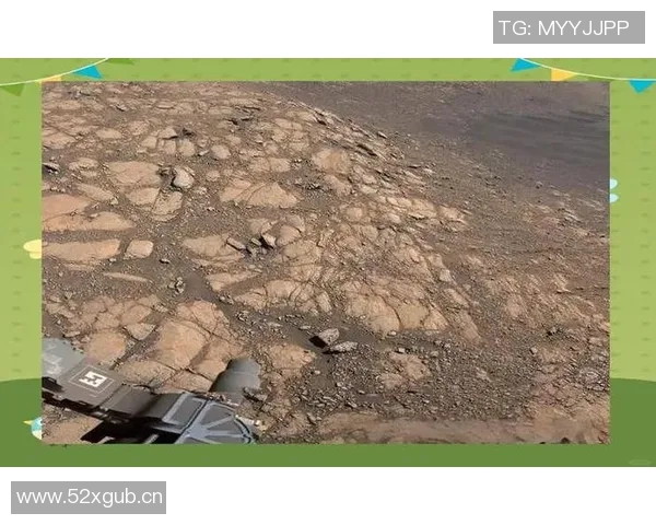 亚马尔地区自然资源开发与生态环境保护的平衡探索及挑战